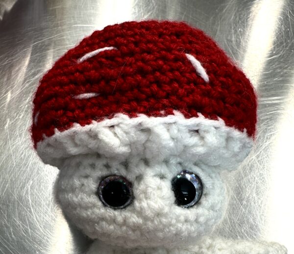 Mushroom Cap